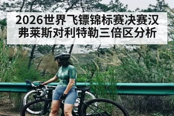 2026世界飞镖锦标赛决赛汉弗莱斯对利特勒三倍区分析